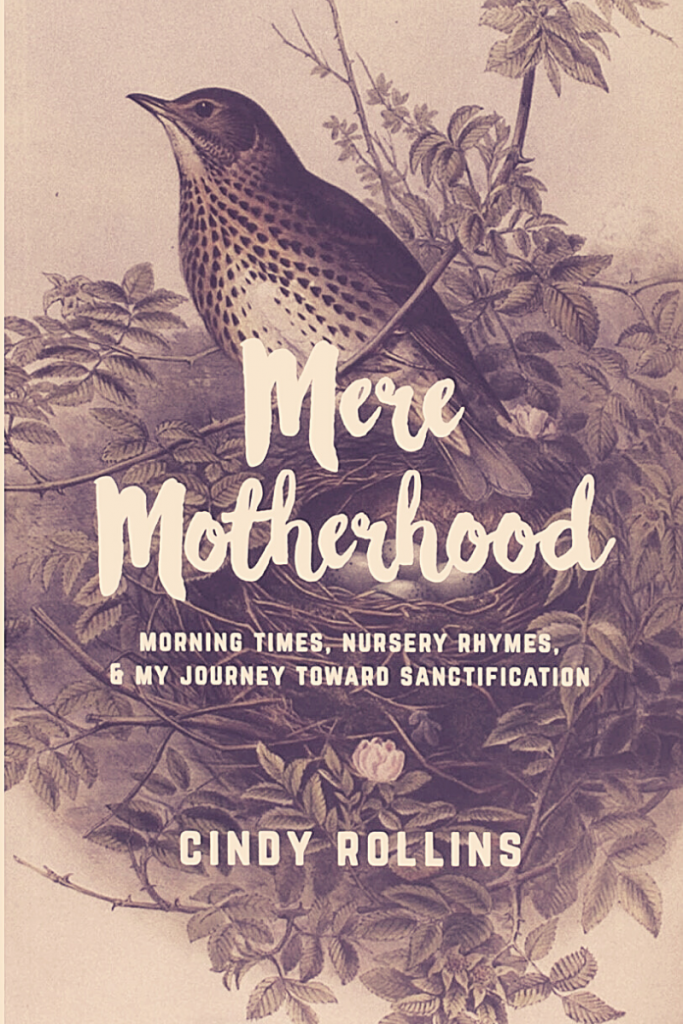 "Mere Motherhood: Morning Times, Nursery Rhymes, & My Journey Toward Sanctification" Cover